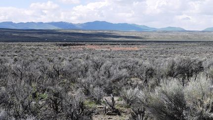 Land for sale in Elko County, Nevada