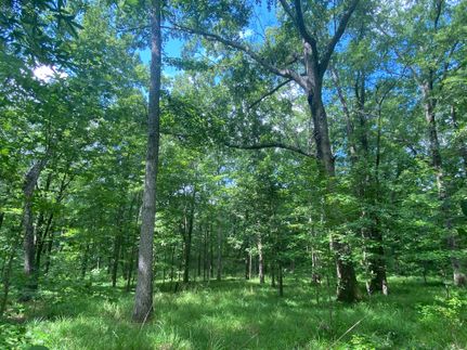 Recreational Property in Russell County, Alabama