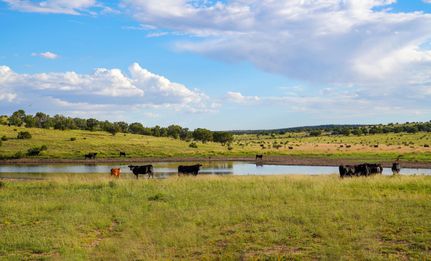 Land in Lincoln County, New Mexico