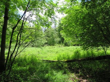 Recreational Property in Herkimer County, New York