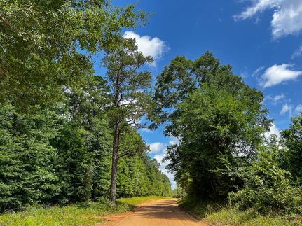 Timberland Property in Polk County, Texas