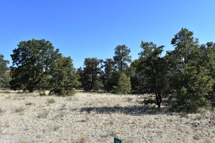 Farm and Ranch for sale in Cibola County, New Mexico