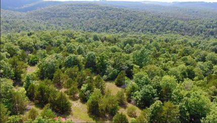 Undeveloped Land in Ozark County, Missouri