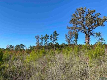Farm and Ranch in Harrison County, Texas