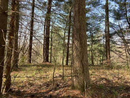 Recreational Property in Perry County, Ohio