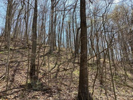 Homesite in Perry County, Ohio