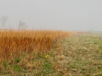 Farm and Ranch in Bourbon County, Kansas