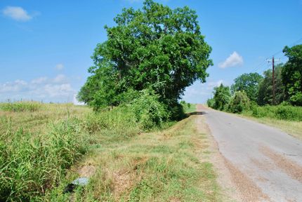Timberland Property in Fayette County, Texas