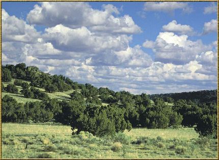 Farm and Ranch for sale in Apache County, Arizona