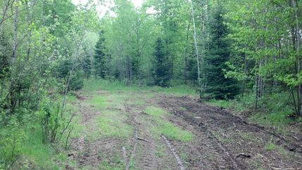 Recreational Property in Forest County, Wisconsin