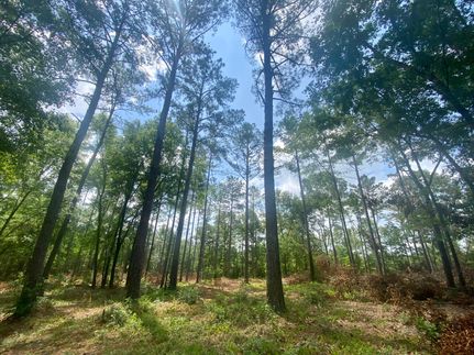 Recreational Property in Pike County, Alabama