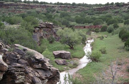 Land in San Miguel County, New Mexico
