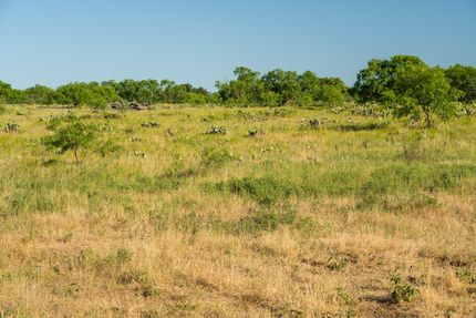Recreational Property in Mason County, Texas