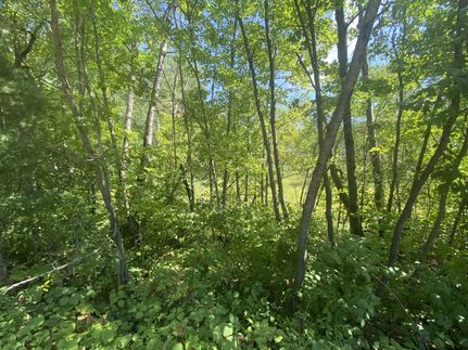 Land in Crow Wing County, Minnesota