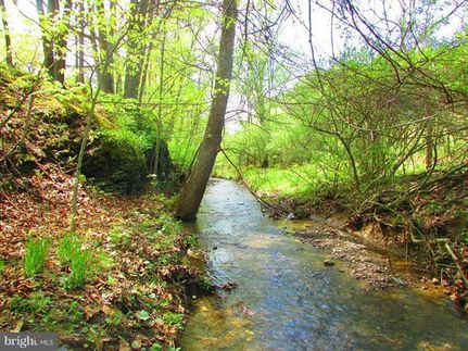 Timberland Property in Hampshire County, West Virginia