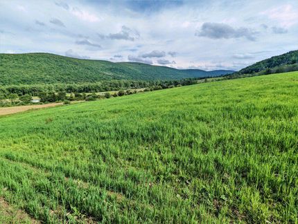 Timberland Property in Steuben County, New York