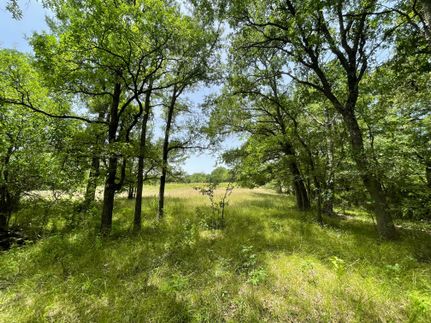 Recreational Property in Delta County, Texas