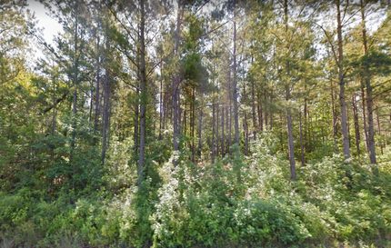 Homesite in Columbus County, North Carolina