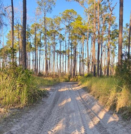 Homesite for sale in Polk County, Florida