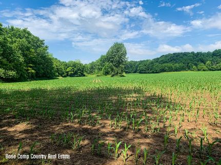 Recreational Property in Carroll County, Indiana