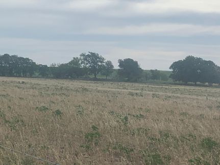 Undeveloped Land in Hamilton County, Texas