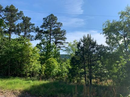 Timberland Property in Polk County, Arkansas