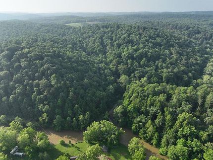Timberland Property in Ashland County, Ohio