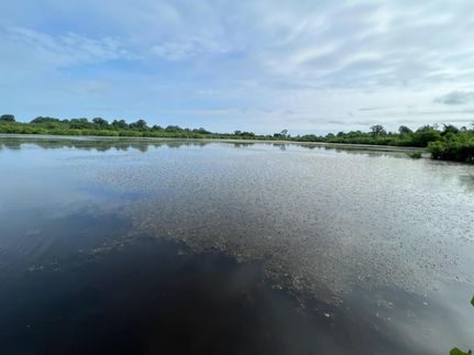 Farm and Ranch in Red River County, Texas