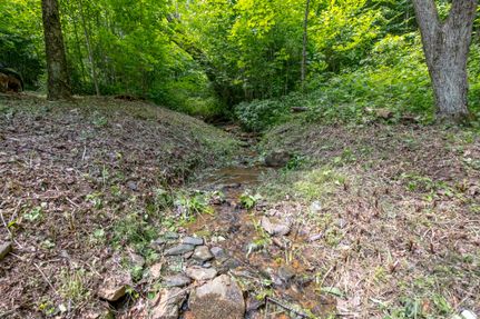 Farm and Ranch in Carroll County, Virginia