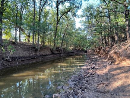 Land in Callahan County, Texas