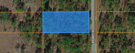 Farm and Ranch in Levy County, Florida