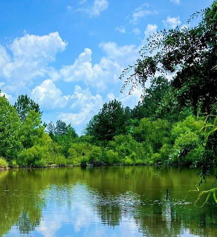 Farm and Ranch in Cherokee County, South Carolina