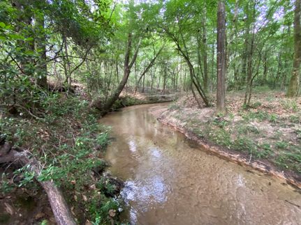 Recreational Property in Geneva County, Alabama