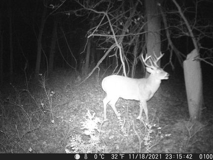 Land in Logan County, Oklahoma