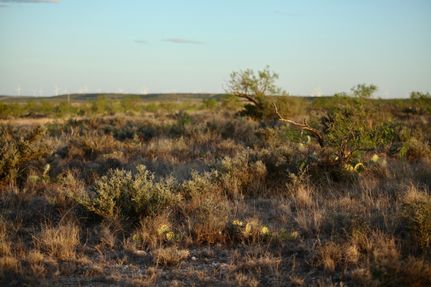 Recreational Property in Glasscock County, Texas