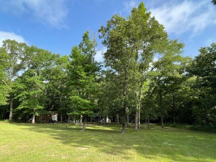 Timberland Property in Leon County, Texas
