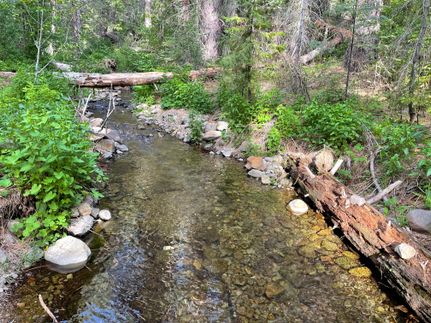 Timberland Property in Nevada County, California