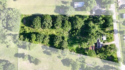 Undeveloped Land in Brazoria County, Texas