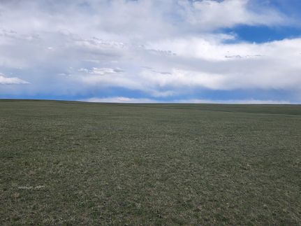 Undeveloped Land in Albany County, Wyoming