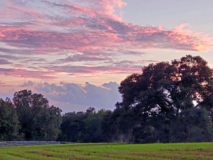 Farm and Ranch for sale in Marion County, Florida