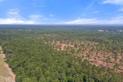 Undeveloped Land in Rusk County, Texas