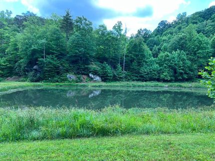 Undeveloped Land in Carroll County, Virginia
