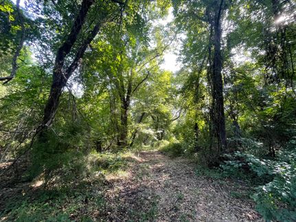 Timberland Property in Baker County, Georgia
