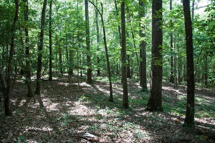 Undeveloped Land in Richmond County, Georgia