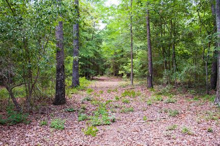 Undeveloped Land in Richmond County, Georgia