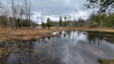 Timberland Property for sale in Saint Lawrence County, New York