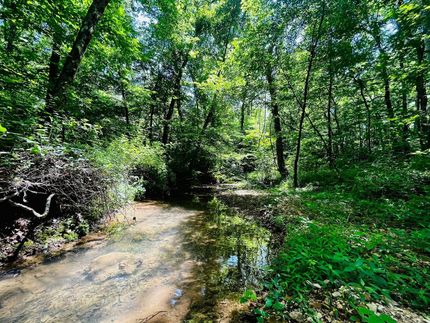 Recreational Property in Benton County, Tennessee