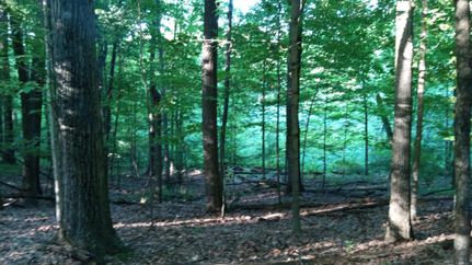 Land in Washtenaw County, Michigan