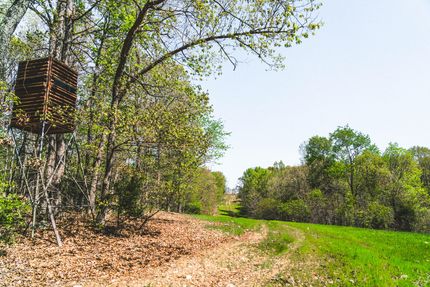 Timberland Property in Lawrence County, Arkansas