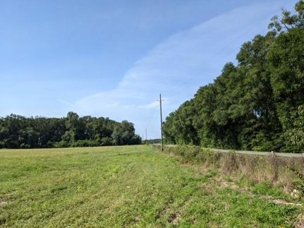 Timberland Property in Suwannee County, Florida